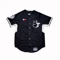 在飛比找PChome商店街優惠-CPBL 30週年限定Team Taiwan棒球衣 / 黑