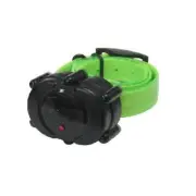 DT Systems Micro-iDT ADD-ON or Replacement Collar - Green IDTADD-G