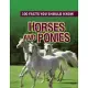 Horses and Ponies