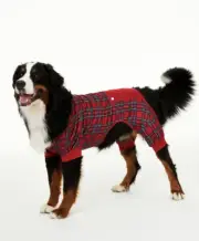 FAMILY PAJAMAS Brinkley Plaid Pet Pajamas sz M Medium Christmas Holiday