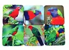 6 x Neoprene Drink Coasters Australian Native Bird Parrot Lover Indoor/Outdoor