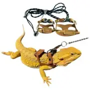 Bearded Dragon Harness and Leash Adjustable(M,L,XL) - Soft Leather Reptile