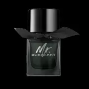 Burberry Mr. Burberry EDP, 150ml