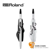 在飛比找蝦皮購物優惠-小新樂器館 | Roland 樂蘭 AE-20 數位薩克斯風