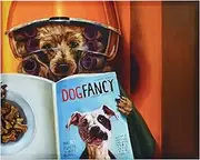 [Empire Art Direct] Spa Day Dog Wall, Graphic Wall Art Print on Wrapped Canvas Contemporary,Ready to Hang,Living Room,Bedroom ＆ Office, 16"x 20" x 2"