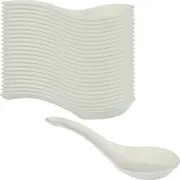 Eco White Sugar Cane Chinese Soup Spoons (Pack of 100)