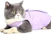 Cat Wound Surgery Recovery Suit for Abdominal Wounds or Skin Diseases, After Surgery Wear, Pajama Suit (Purple, L)