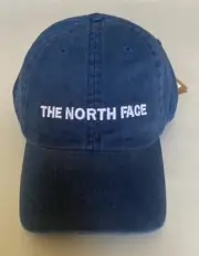 NWT Mens The North Face Horizontal Embro Hat Adjustable Baseball Cap Shady Blue