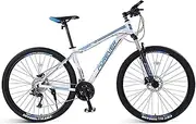Racing Version of The Bushelshan Bicycle Bicycle