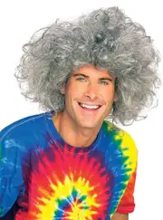 Frizzy Mens Grey Mad Scientist Costume Wig
