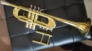 Bb C Heavy Jazz Trumpet BerkeleyWind w/D2H Heavy Cap Mouthpiece