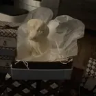 Gianna Rose Soap Labrador White Dog Gift