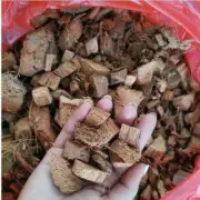 900g Coconut husk chips 100% best for Orchids and Anthurium Suitable Potting Gro