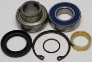 All Balls Racing Track and/or Jack Shaft Bearing and Seal Kit 14-1003