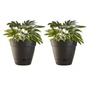 2x Northcote Pottery Leonard 25x23cm Self Watering Plant Pot Garden Decor Black