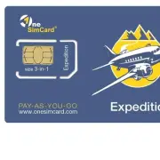 International SIM Card with Affordable Data Rates & Free Incoming Calls