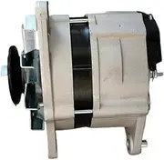 Engine Parts TG20884 ALTERNATOR，Compatible With LANDINI MINI Compatible With Perkins 1004-40T 231295A1 3648444M91 63324924 MAN153 IA0764