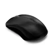 Rapoo 1620 Wireless 2.4GHz Entry Level Optical Mouse - Black