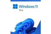 MICROSOFT Windows 11 Professional Retail 64-bit USB Flash Drive