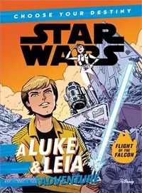 在飛比找三民網路書店優惠-Star Wars A Luke & Leia Advent