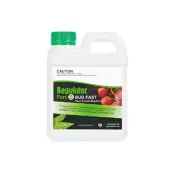 Nutrifield Regulator Bud Fast Part B 1L