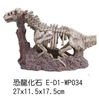 在飛比找蝦皮購物優惠-微笑的魚水族☆【恐龍化石】E-D1-WP034