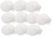 MAGICLULU 10Pcs Natural Serving Plates Decorative Appetizer Trays for BBQ for DIY Crafting Home Decor Unique Shell Decoration for Festive Gatherings