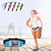 BOOST BELT Exercise Essential Pouch and Smartphone Case -Size: 4.7 Inch (iPhone 6 / Galaxy 4 Etc.), Color: Sky Blue