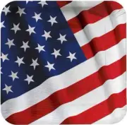 American Valor USA Patriotic July 4th Election Theme Party 7" Dessert Plates