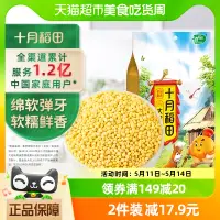 在飛比找淘寶網優惠-十月稻田大黃米1kg東北大黃米黍米黏黃米糯小米五穀雜糧