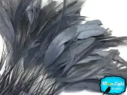 1 Dozen - Silver Gray Stripped Rooster Coque Tail Feathers Craft Party Supplier