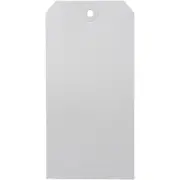 Avery 18160 Shipping Tag Size 8 160x80mm White Box 1000