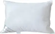 Natural Goose Down Feather Hotel Collection Pillow For Sleeping100% Cotton Cover