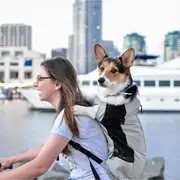 Dog Carrier Large Backpack Puppy Travel Bike Cycling Hiking Carrier Bag Outdoor Grey