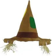 Pointed Scarecrow Raggedy Costume Hat w/Raffia Hair