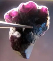 69 CARAT ALEXANDRITE NATURAL ROUGH COLECTOR'S CRYSTAL MINERAL GEM (E17)