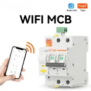 WIFI Circuit Breaker Smart Life Remote Control Short Circuit Protection Timed 2P