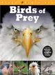 Birds of Prey