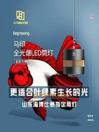 在飛比找Yahoo!奇摩拍賣優惠-LED燈馬印神燈全光譜LED魚缸筒燈金魚燈專用爆藻增色增艷水