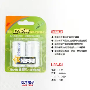 Nexcell 耐能 energyOn立即用鎳氫低自放電2號充電電池(CX2) 4500mAh 2入