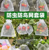 在飛比找樂天市場購物網優惠-水果套袋 水果網套 防蟲防鳥紗網袋 草莓套袋 葡萄透氣套袋 