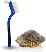 Snout and Shell - Turtle Cleaning Brush - Gently Remove Algae and Dirt from Turtles and Tortoises - Blue