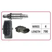 RAE Oxygen Sensor - OX272