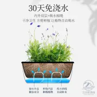 在飛比找蝦皮購物優惠-【免運】花盆 懶人花盆 大花盆 造型花盆種菜盆 種菜神器 自