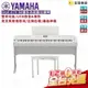 【金聲樂器】YAMAHA DGX670 88鍵 白 電鋼琴 數位鋼琴 單音踏 琴椅 dgx670