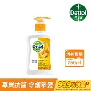 【Dettol 滴露】滴露清新柑橘潔手液洗手乳(250ml)