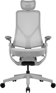 TT AEROFLEX Ergochair Mesh Office Chair Ergonomic Chair (Ashy Grey)