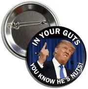 [Lunch Money] In Your Guts You Know He's Nuts Anti Donald Trump Funny Never Trump Pinback Button Badge Pin, Aluminum, aluminium