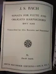 Bach Sonata for Flute Harpsichord. BWV 1030. Transcribed for Alto Reco & Harps