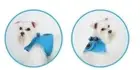 Puppia® Soft Vest Dog Harness B in Sky Blue --Size Small